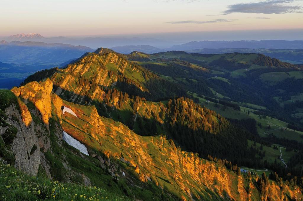 Alpin & Wellness Resort Hotel Ludwig Royal Oberstaufen Εξωτερικό φωτογραφία